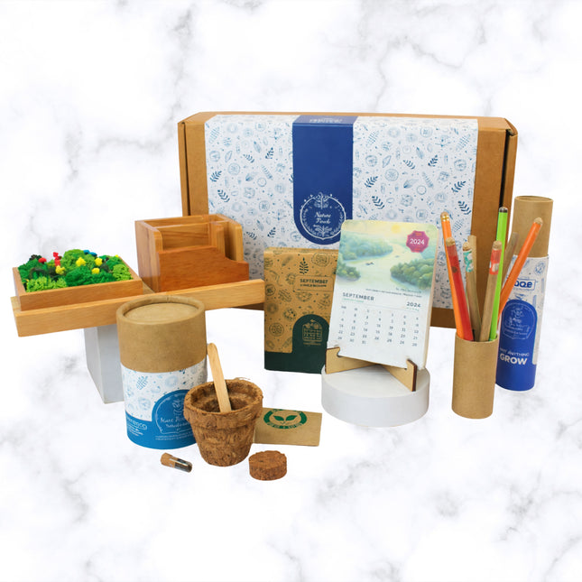 Eco Grow Forest Gift Set