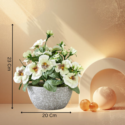 Pansy Flowers In Pot