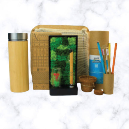 Eco Seed Starter Gift Set