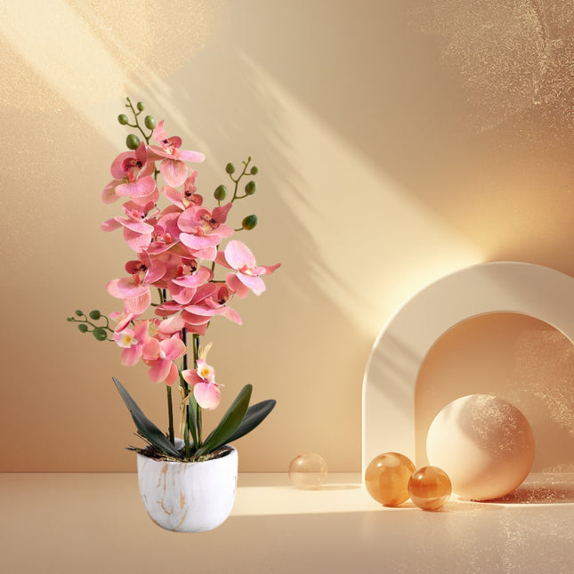 Orchids In Ceramic Pot