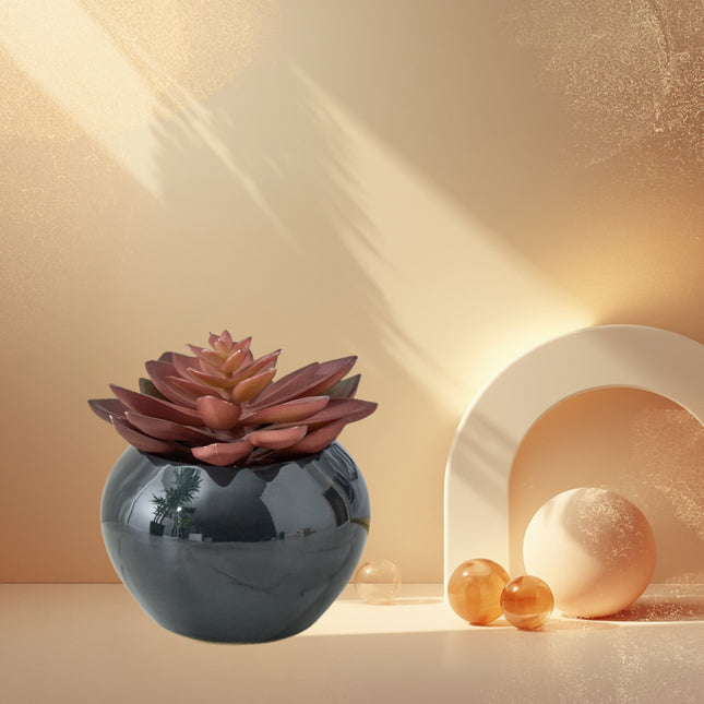 Succulent In Ceramic Pot