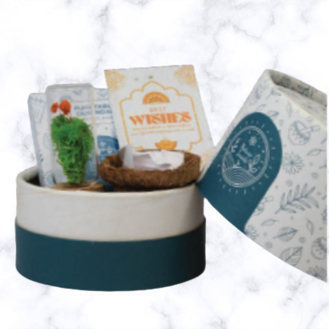 Starter Green Gift Set