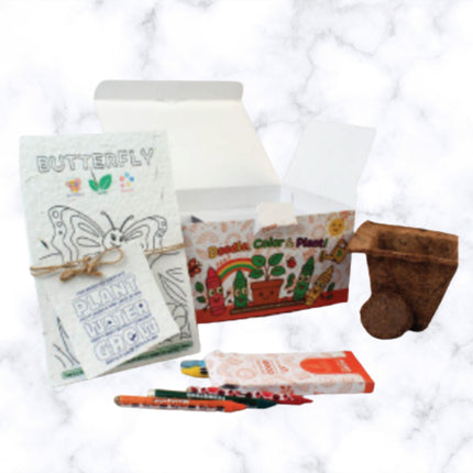 Plantable Art and Craft Gift Set